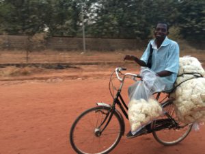 sambo-with-bike